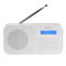 Denver DAB-42W WHITE